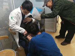 -瑞派·关忠动物医院·猫专科·犬专科(三环新城店)