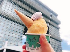 -高汐尔手工鲜冰淇淋(恒隆广场店)