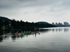 -顺峰山公园