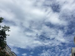 -Tasty Love唐乐(凤凰城店)