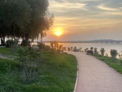 -丁香湖公园