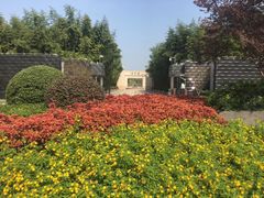 -嘉北郊野公园北游客中心-地上停车场