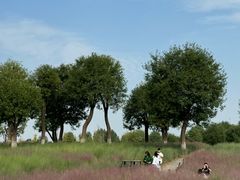 -汉长安城未央宫国家考古遗址公园