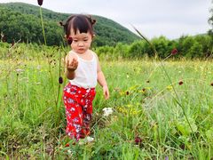 -乌兰布统草原