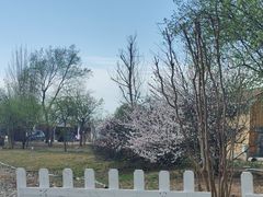 -圣露庄园·亲子活动乐园·露营·团建婚礼