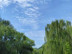-北坞公园