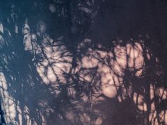 -竹吟山房