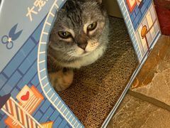 -隅cafe(傅厚岗店)