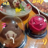 沉浸日料走起～
