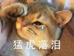 -马一洒开锅羊肉清真餐厅(京汉店)