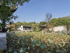 -八大山人梅湖景区