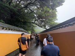 -普陀山风景区-佛顶山