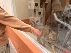 -青藏高原野生动物园