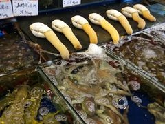 -渔人码头(洛溪店)