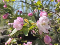 -元大都城垣遗址公园