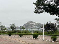 -星光岛