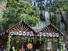 -西双版纳原始森林公园