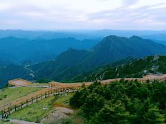-白草畔自然风景区