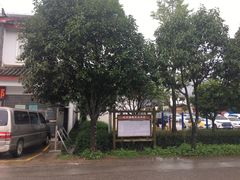 -蘑统田下·野生菌火锅