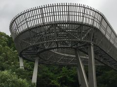 -福道