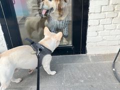 -小意思咖啡店(草桥店)
