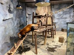 -Zoolung Zoolung动物主题公园(海信广场店)