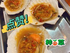 蒜蓉粉丝大扇贝-炒豆合作社(东四总店)