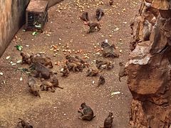-昆明动物园