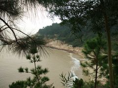 -北岐滩涂