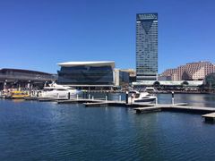 -I'm Angus Steakhouse