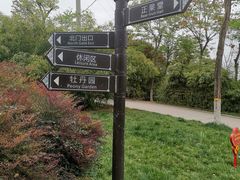 -西安青龙寺遗址景区