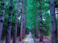 -同里国家湿地公园
