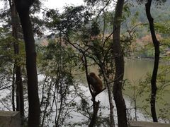 -黔灵山公园