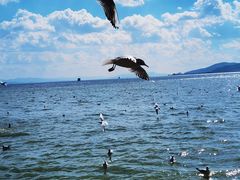 -滇池海埂公园