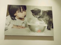 -TIME儿童摄影(闽江路店)