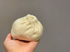 素菜包-白玉兰食品(甜云店)
