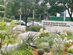 -翠贝卡&Mama Kelly Brunch Coffee(河西店)