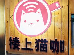 -楼上猫咖(罗湖店)