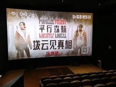 -英皇电影城(平安金融中心IMAX激光店)