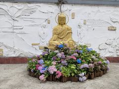 -大金鹰园