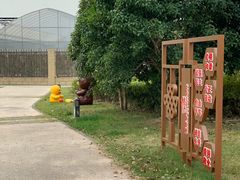 -菊园百果园