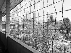 -吐斯廉屠杀博物馆