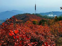 -北京西山国家森林公园