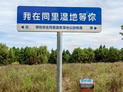 -同里国家湿地公园