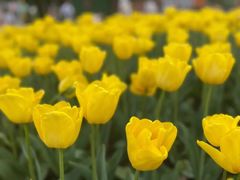 -白沙门生态公园