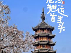 -红梅公园