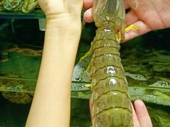 -东记炭炉·海鲜鸡煲(龙华店)