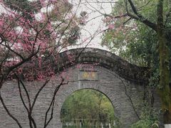 -三垟湿地