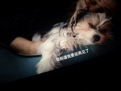 -幸福蓝海影城(上海闵行日月光中心杜比全景声店)