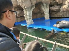 -华夏文旅海洋公园